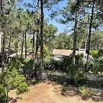 Villa 05034-lacanau Ocean - Familiale 12 Pers. - Piscine & Nature - Ocean Mae-2543